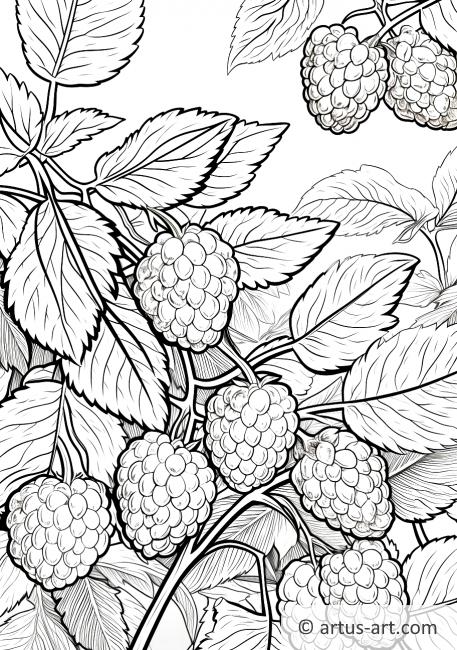 Raspberry Garden Coloring Page